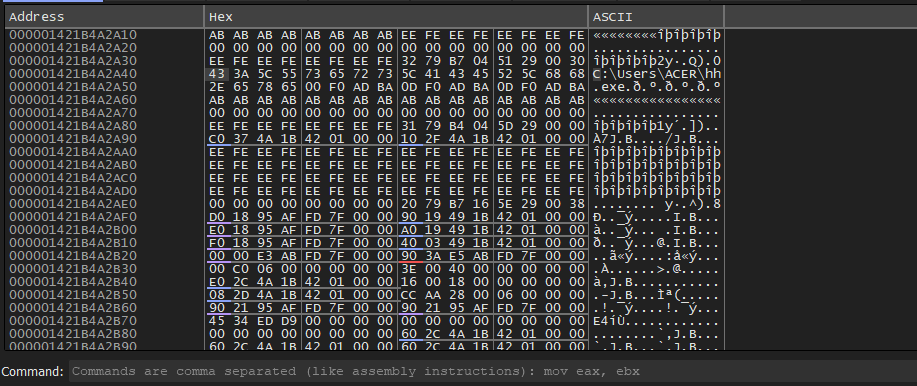 Memory dump after patch - ASCII column shows C:\Users\ACER\hh at the patched address
