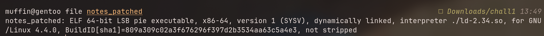 Binary File Info