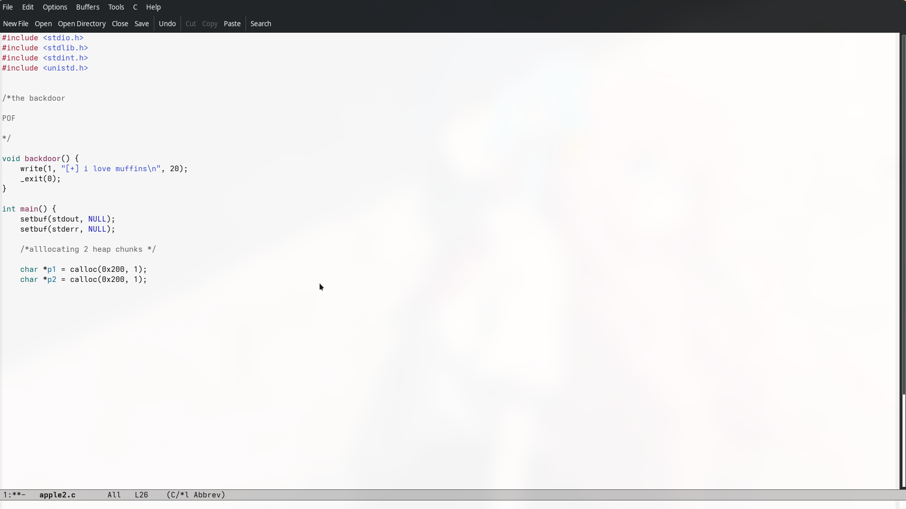Decompiled Code