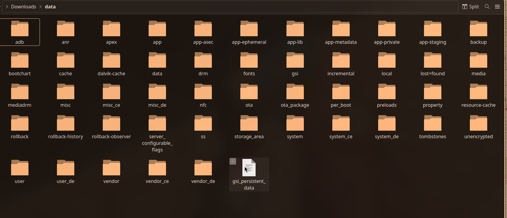 Extracted Files