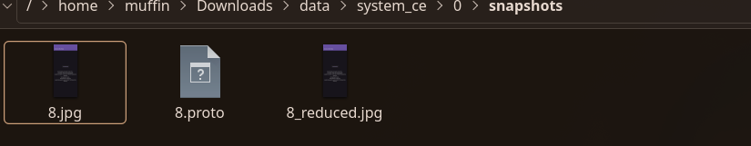 Snapshots Folder