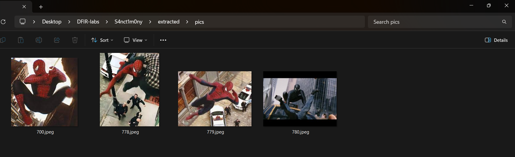 Extracted Spider-Man photos - 700.jpeg, 778.jpeg, 779.jpeg, 780.jpeg