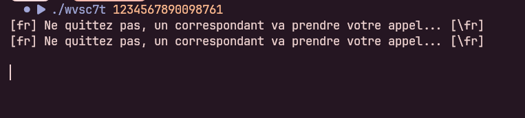 runtime input